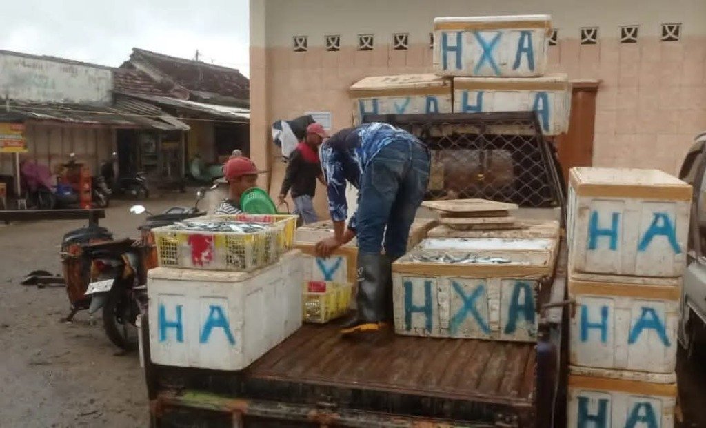 Fish Market Activity